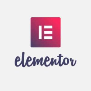 Elementor_pro